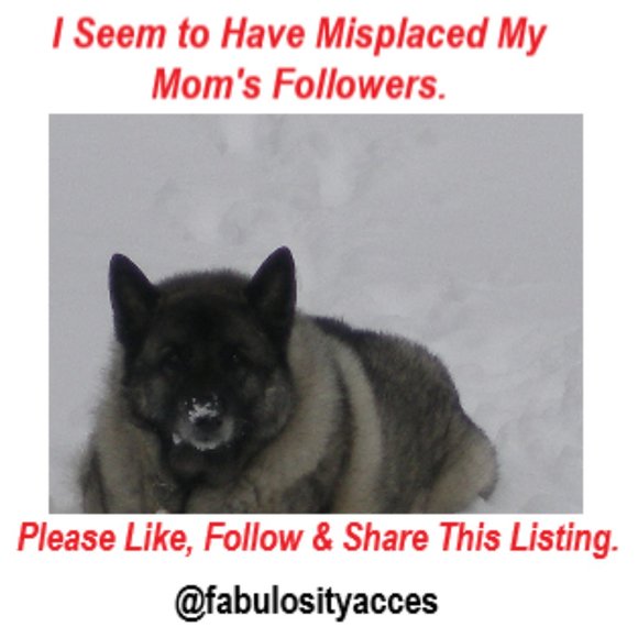 Join Me on the Posh Love Bus Tour - Picture 2 of 10